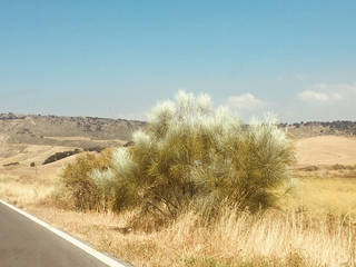 Andalucia, 2018