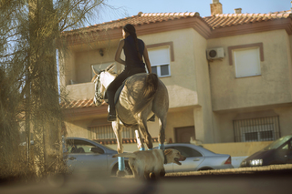 Leticia riding high, Andalucia 2018