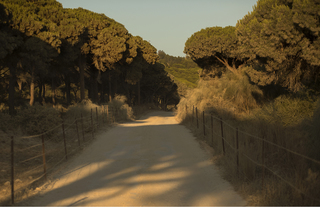 ANDALUCIA, 2018