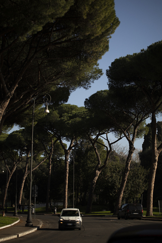 ROMA, 2024